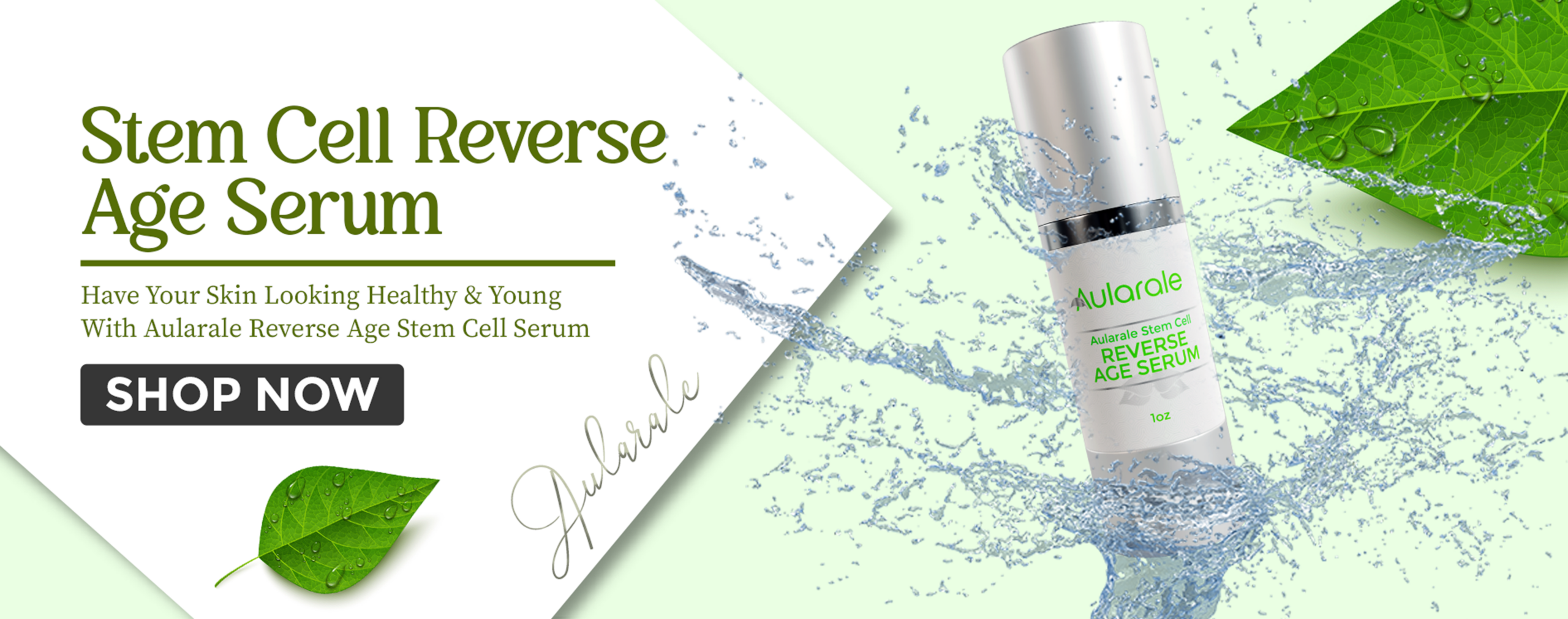 anti-aghing-banner (1)